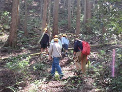 どんな場所を生き物は通るのか調査