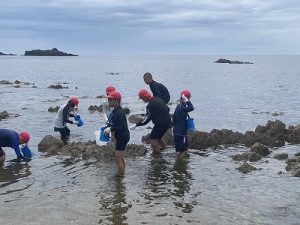 いそのいきものをみつけています。