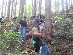 カメラ設置の様子