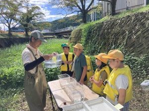 大山川調査