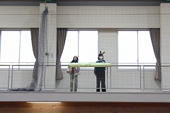 クリスマスツリーのお披露目