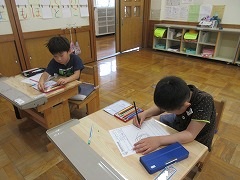 あさがおの種の観察