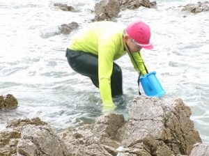 いそかんさつ