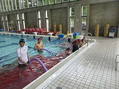 泳ぎます