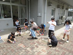 模様をチェック