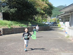 カナヘビ探し中